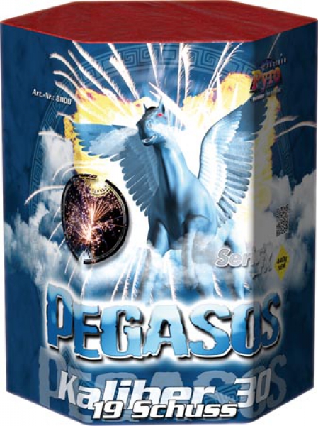 Pegasos, 19 Schuss
