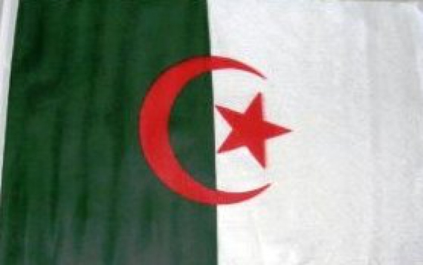 Algerien Fahne ca. 30 x 45 cm